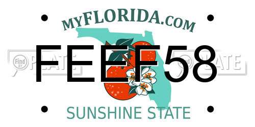 FEEF58 Florida License Plate