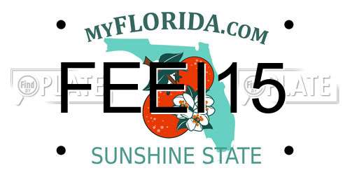 FEEI15 Florida License Plate