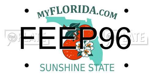 FEEP96 Florida License Plate