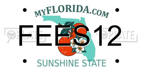 FEES12 Florida License Plate