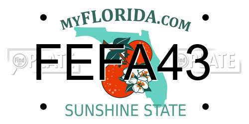 FEFA43 Florida License Plate