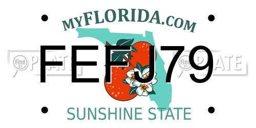 FEFJ79 Florida License Plate