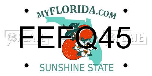 FEFQ45 Florida License Plate