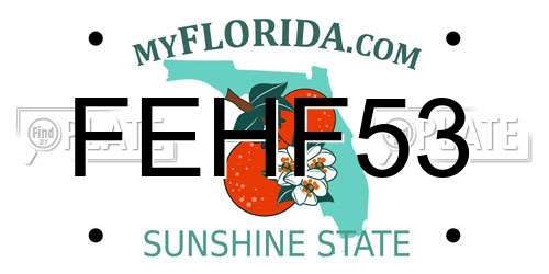 FEHF53 Florida License Plate
