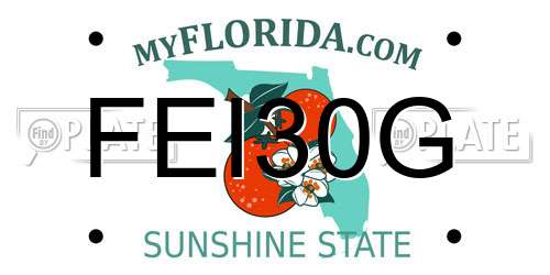 FEI30G Florida License Plate