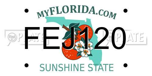 FEJ120 Florida License Plate