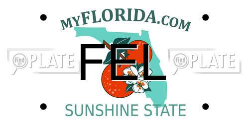 FEL Florida License Plate