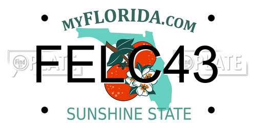 FELC43 Florida License Plate