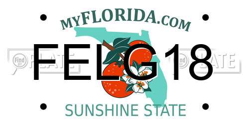 FELG18 Florida License Plate