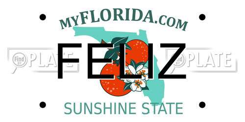 FELIZ Florida License Plate
