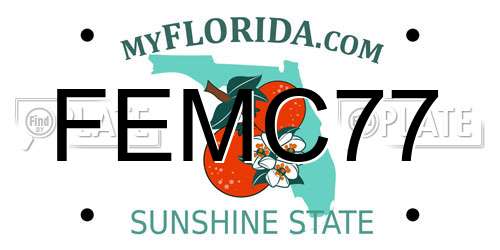 FEMC77 Florida License Plate