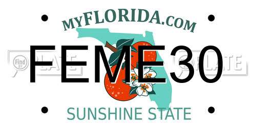 FEME30 Florida License Plate