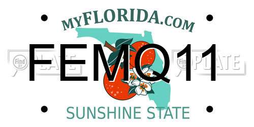 FEMQ11 Florida License Plate