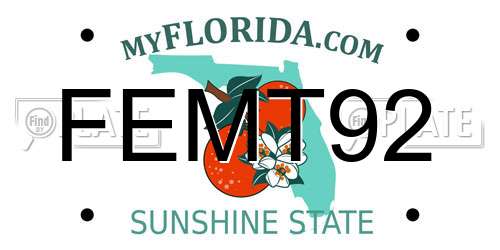 FEMT92 Florida License Plate