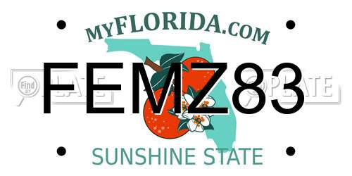 FEMZ83 Florida License Plate
