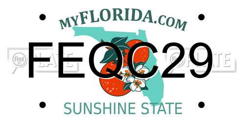 FEQC29 Florida License Plate