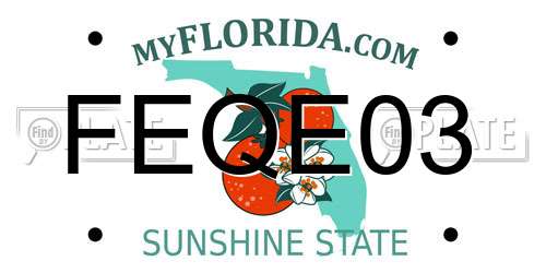 FEQE03 Florida License Plate