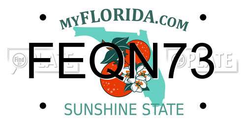 FEQN73 Florida License Plate