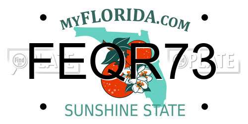 FEQR73 Florida License Plate