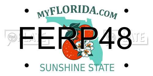 FERP48 Florida License Plate