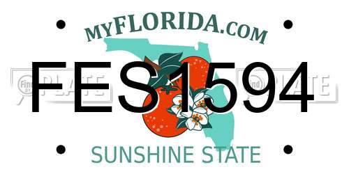 FES1594 Florida License Plate