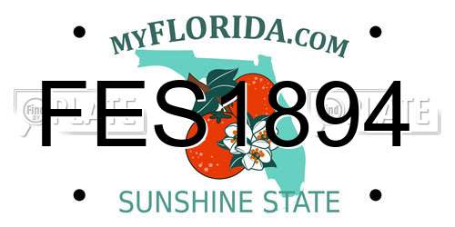FES1894 Florida License Plate