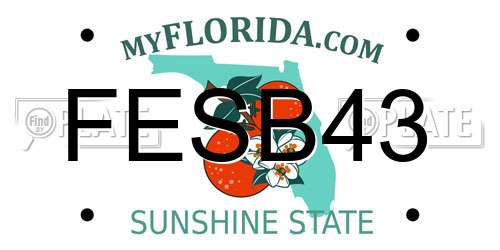FESB43 Florida License Plate