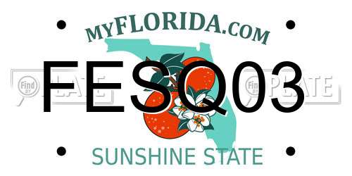 FESQ03 Florida License Plate