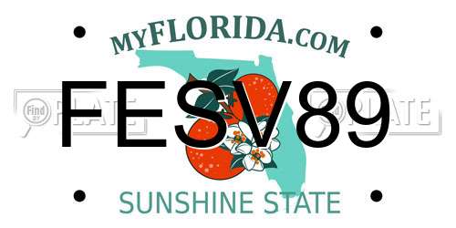 FESV89 Florida License Plate