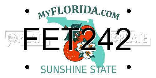 FET242 Florida License Plate