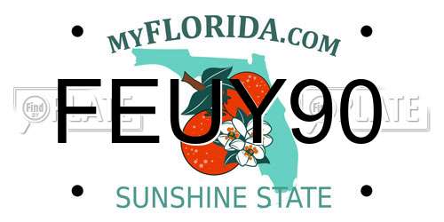 FEUY90 Florida License Plate