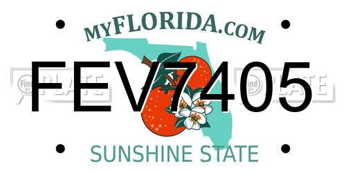 FEV7405 Florida License Plate