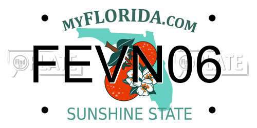 FEVN06 Florida License Plate