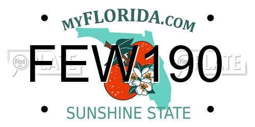 FEW190 Florida License Plate