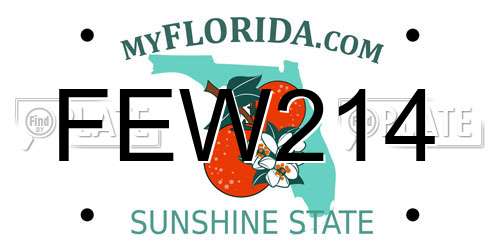 FEW214 Florida License Plate