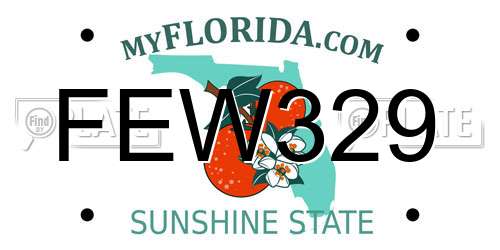 FEW329 Florida License Plate