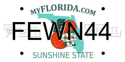 FEWN44 Florida License Plate