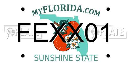 FEXX01 Florida License Plate