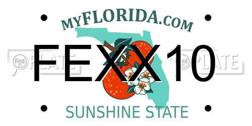 FEXX10 Florida License Plate