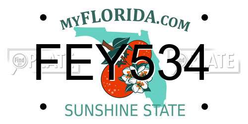FEY534 Florida License Plate