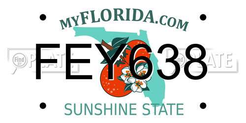 FEY638 Florida License Plate