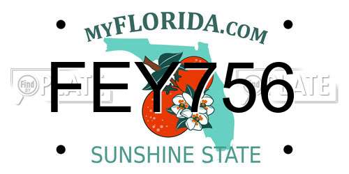 FEY756 Florida License Plate