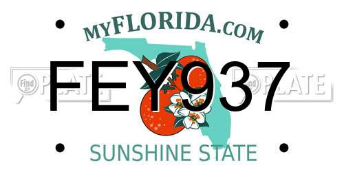FEY937 Florida License Plate