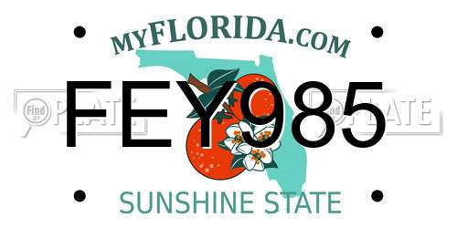 FEY985 Florida License Plate
