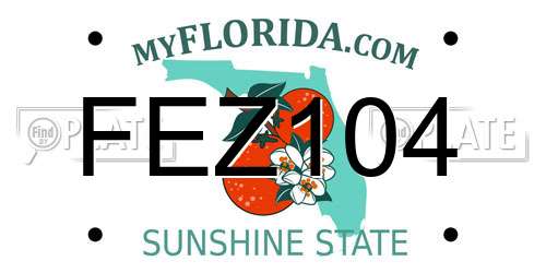 FEZ104 Florida License Plate