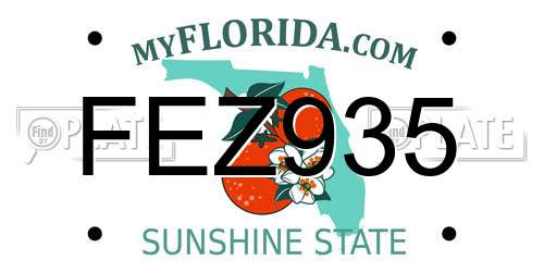FEZ935 Florida License Plate