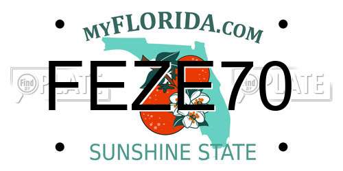 FEZE70 Florida License Plate