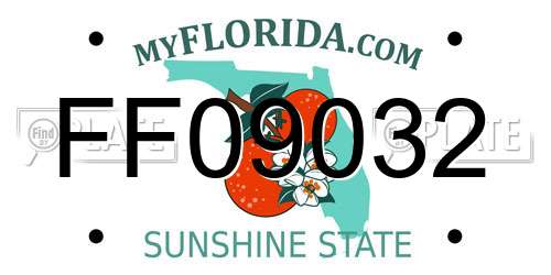 FF09032 Florida License Plate