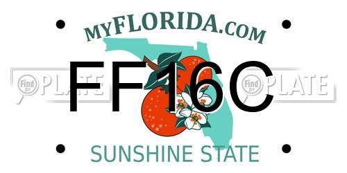FF16C Florida License Plate