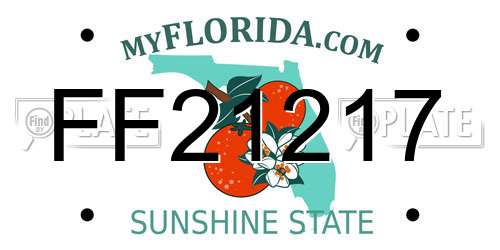 FF21217 Florida License Plate
